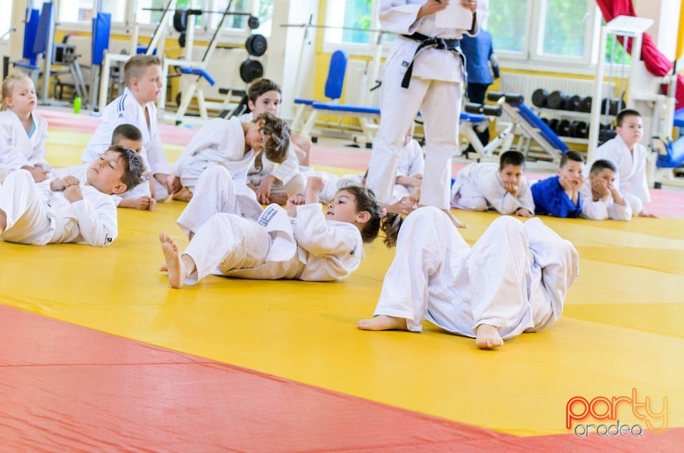 Micii judoka la Examen de Mon, Liceul cu Program Sportiv