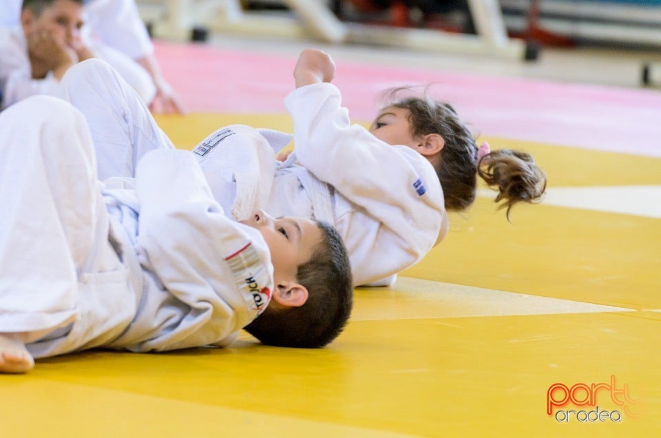 Micii judoka la Examen de Mon, Liceul cu Program Sportiv