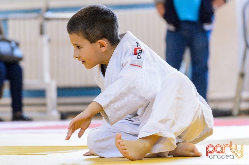 Micii judoka la Examen de Mon, Liceul cu Program Sportiv