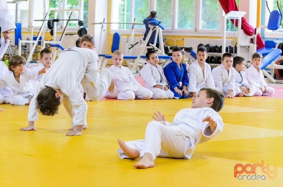 Micii judoka la Examen de Mon, Liceul cu Program Sportiv