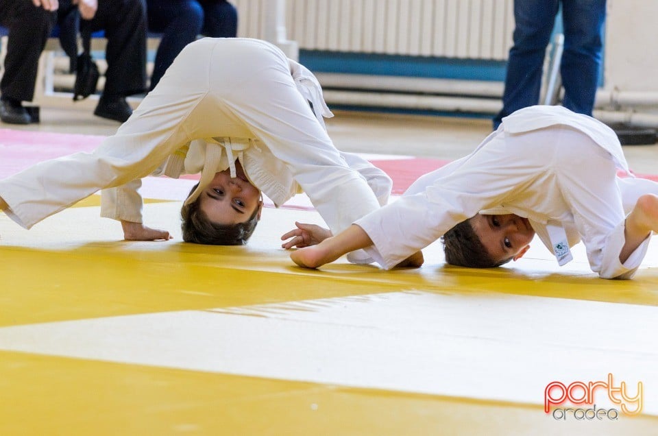 Micii judoka la Examen de Mon, Liceul cu Program Sportiv