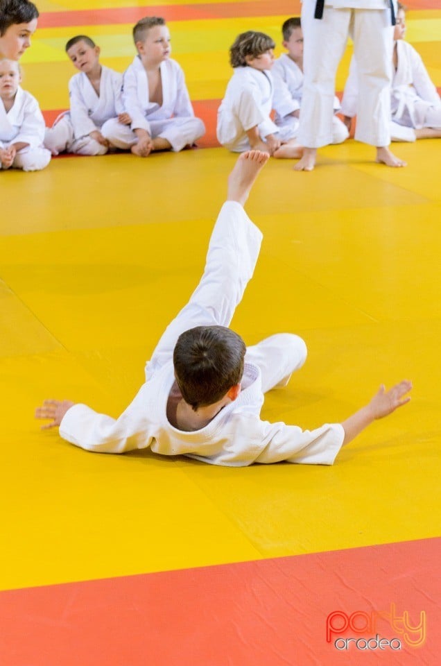 Micii judoka la Examen de Mon, Liceul cu Program Sportiv