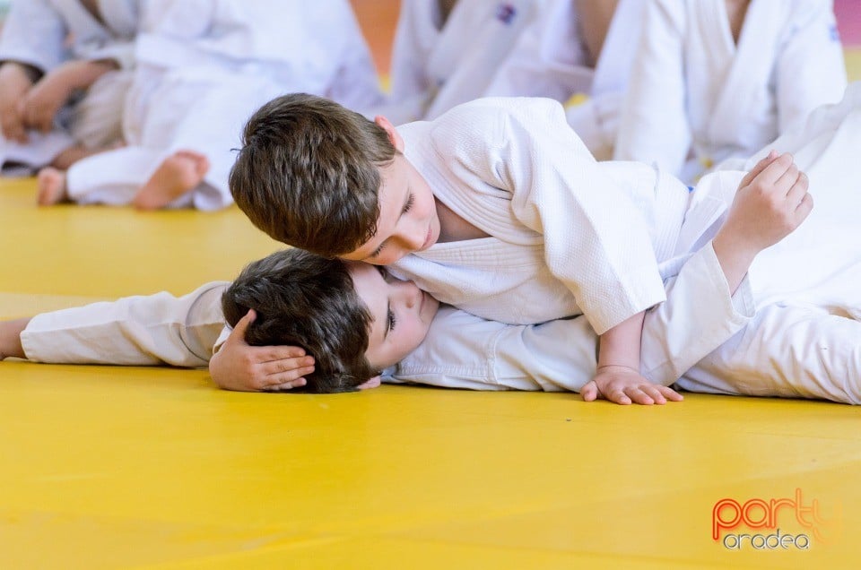 Micii judoka la Examen de Mon, Liceul cu Program Sportiv