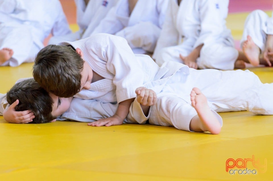 Micii judoka la Examen de Mon, Liceul cu Program Sportiv