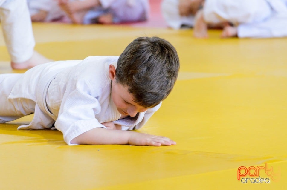 Micii judoka la Examen de Mon, Liceul cu Program Sportiv