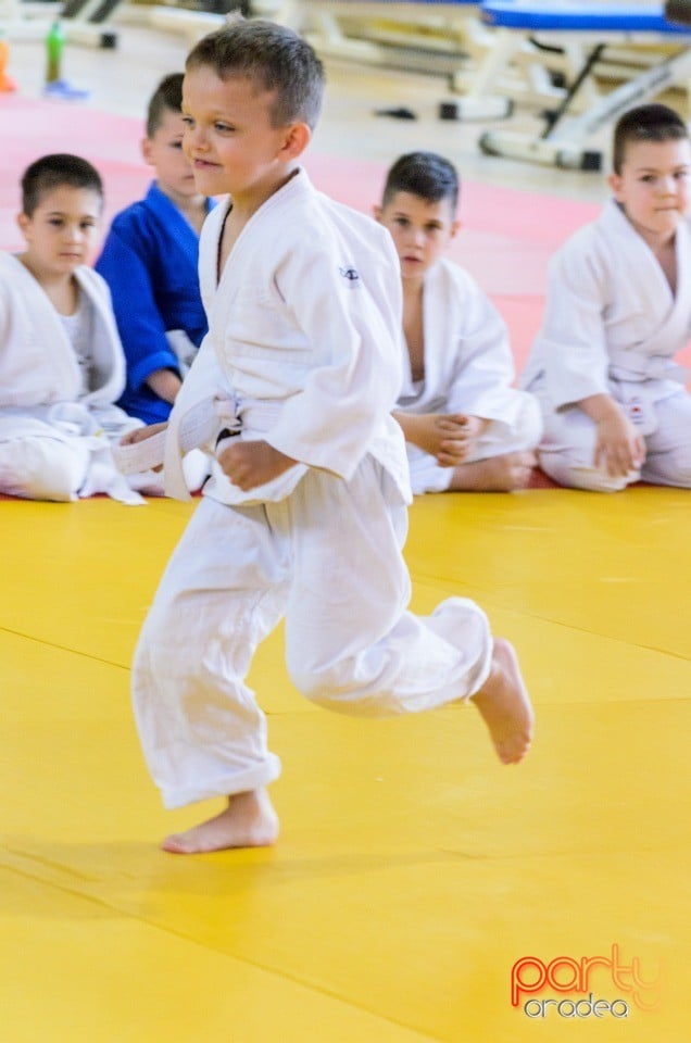 Micii judoka la Examen de Mon, Liceul cu Program Sportiv