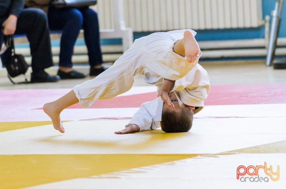 Micii judoka la Examen de Mon, Liceul cu Program Sportiv