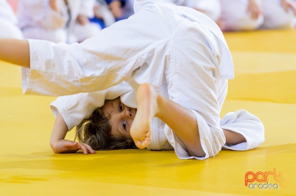 Micii judoka la Examen de Mon, Liceul cu Program Sportiv