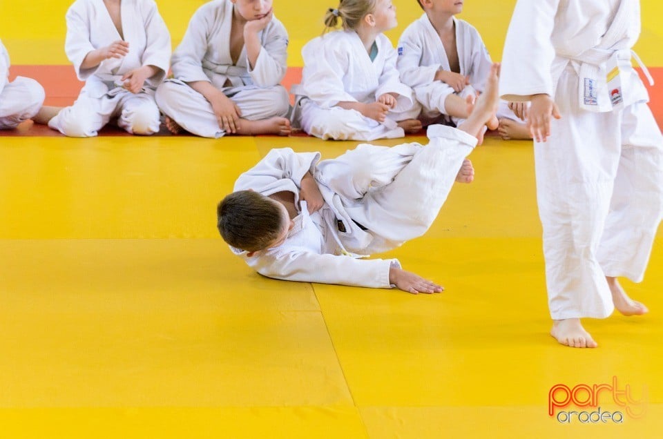 Micii judoka la Examen de Mon, Liceul cu Program Sportiv