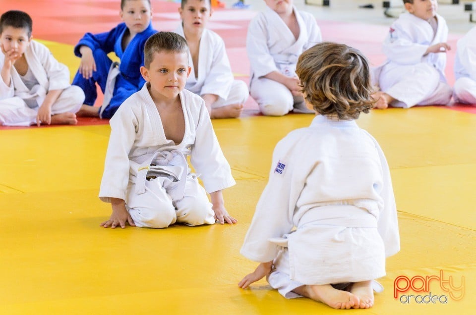 Micii judoka la Examen de Mon, Liceul cu Program Sportiv