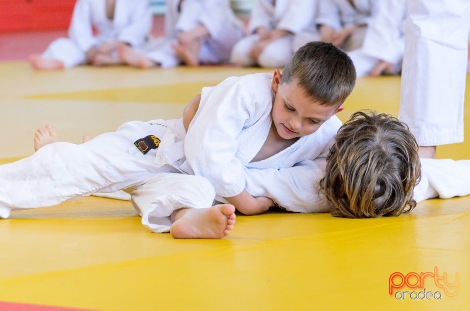 Micii judoka la Examen de Mon, Liceul cu Program Sportiv