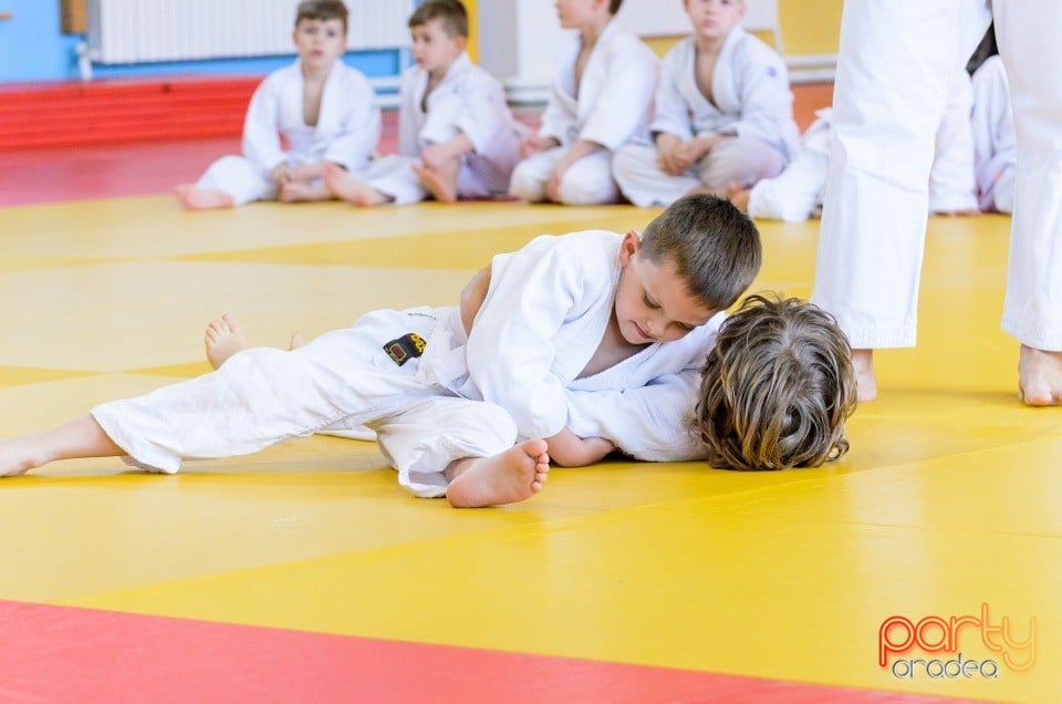 Micii judoka la Examen de Mon, Liceul cu Program Sportiv