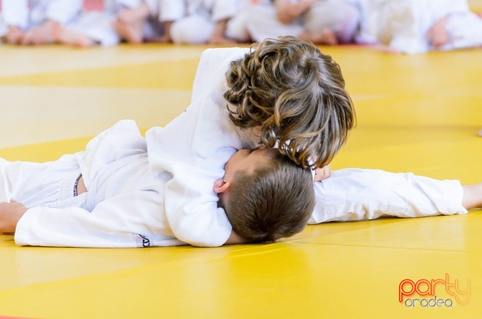 Micii judoka la Examen de Mon, Liceul cu Program Sportiv