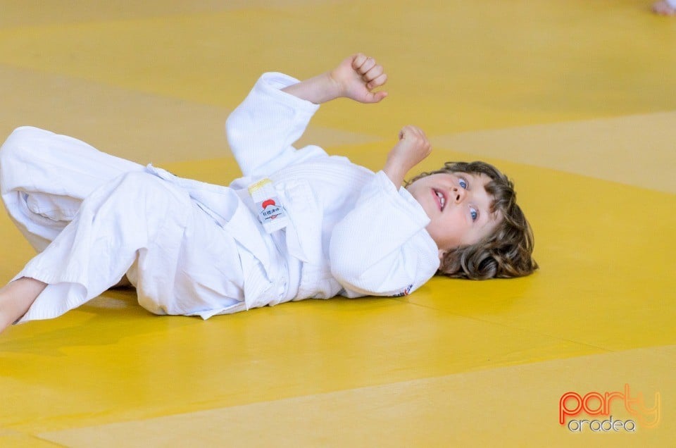 Micii judoka la Examen de Mon, Liceul cu Program Sportiv