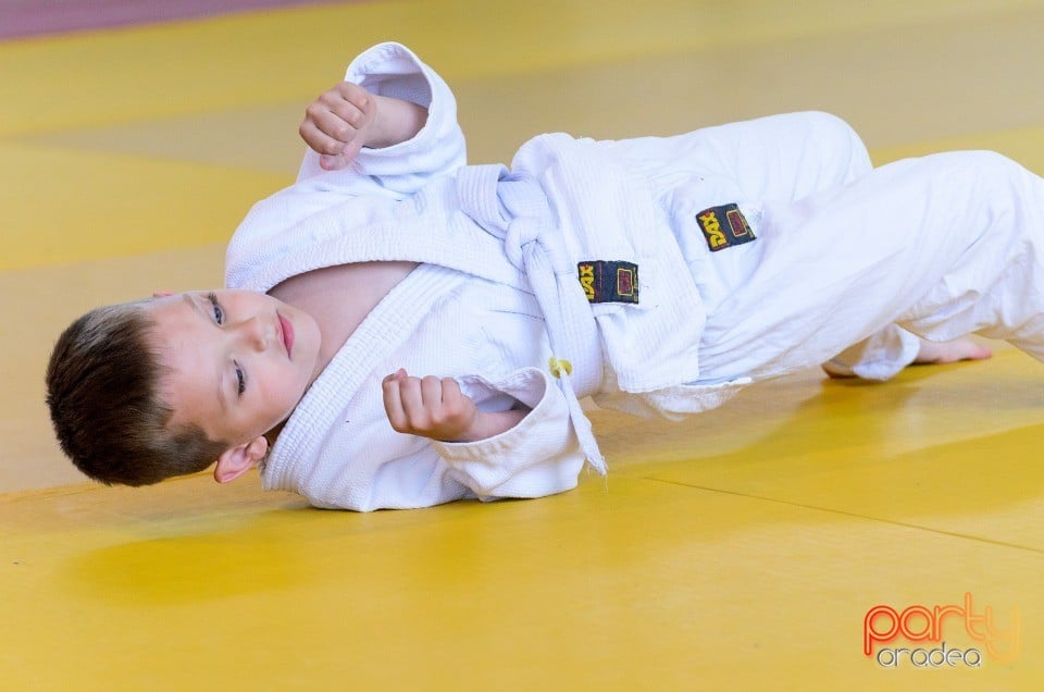 Micii judoka la Examen de Mon, Liceul cu Program Sportiv