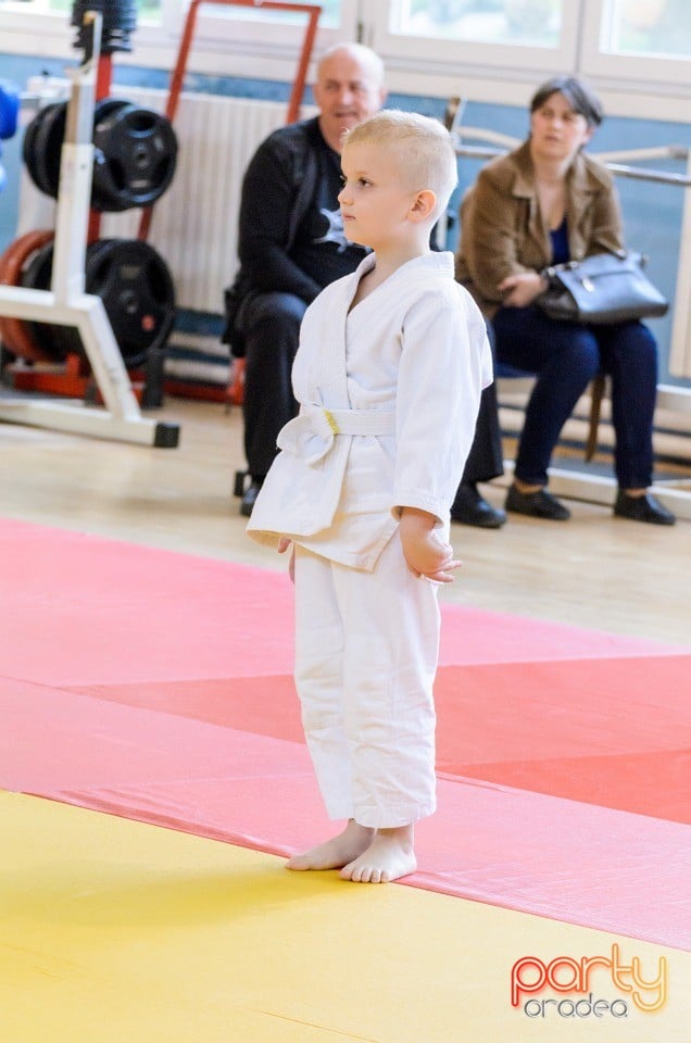 Micii judoka la Examen de Mon, Liceul cu Program Sportiv