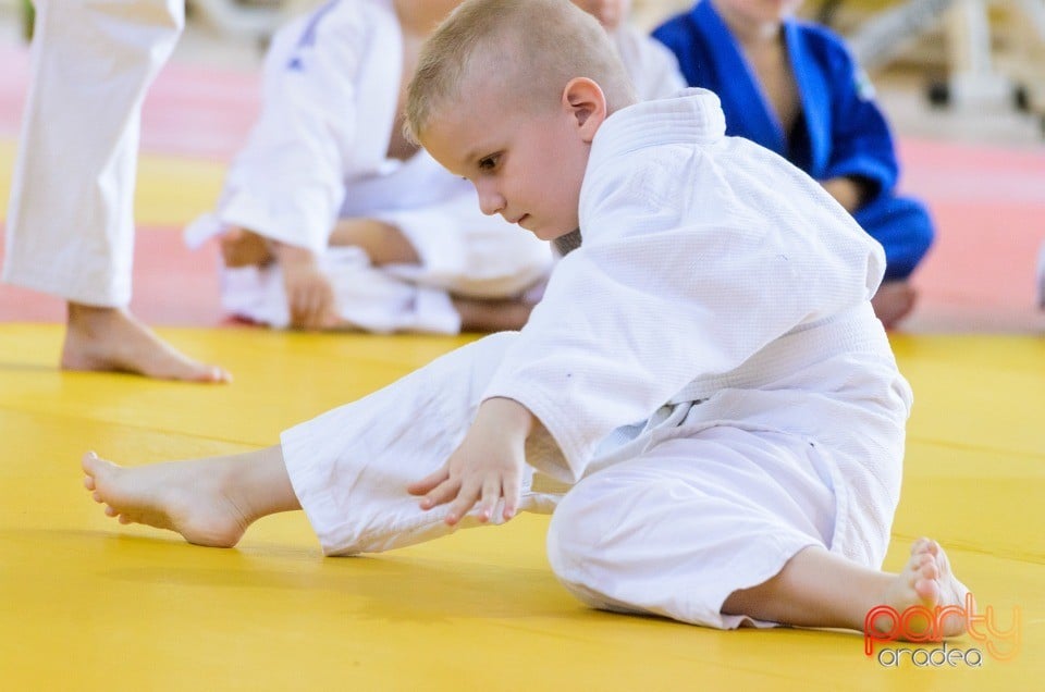 Micii judoka la Examen de Mon, Liceul cu Program Sportiv