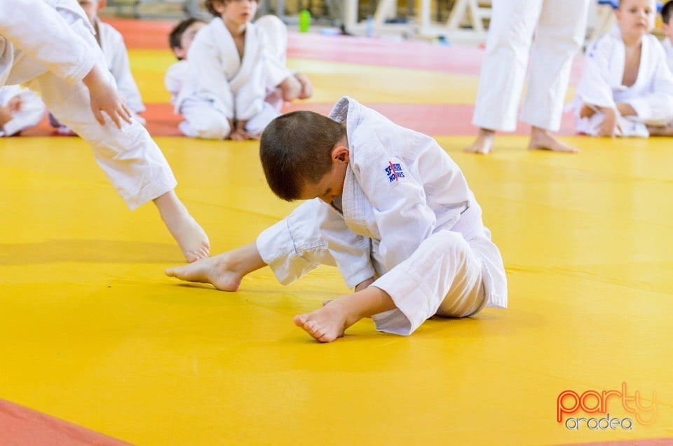 Micii judoka la Examen de Mon, Liceul cu Program Sportiv