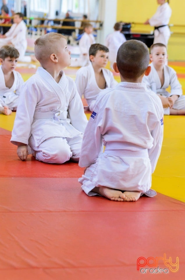 Micii judoka la Examen de Mon, Liceul cu Program Sportiv