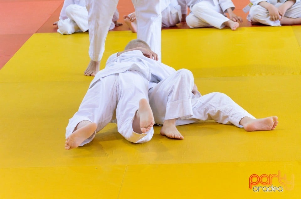 Micii judoka la Examen de Mon, Liceul cu Program Sportiv