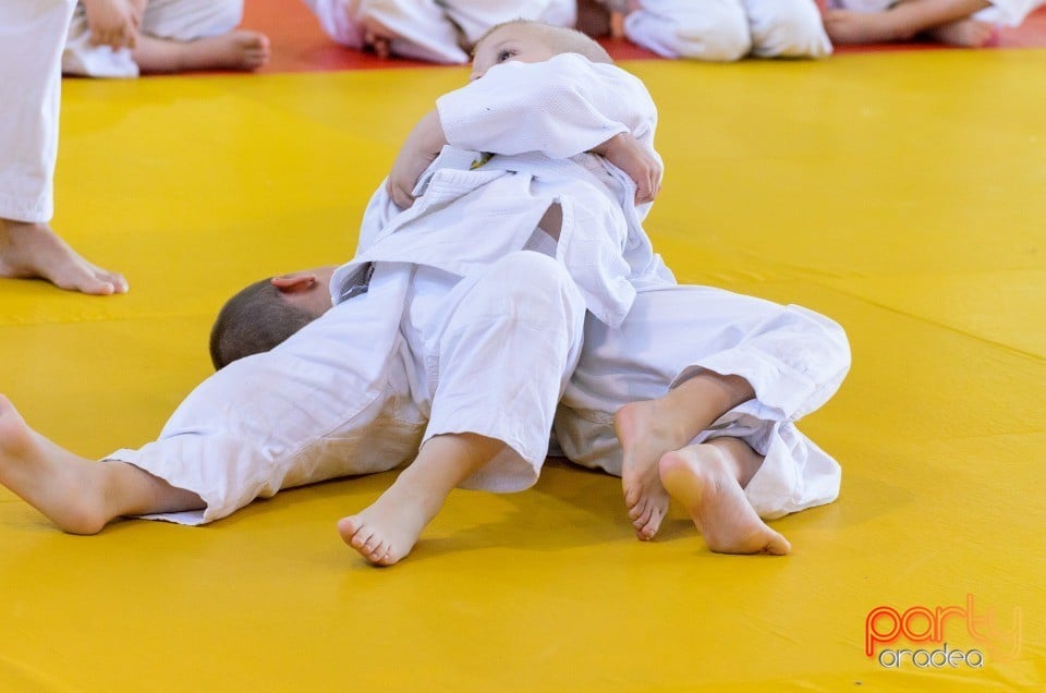 Micii judoka la Examen de Mon, Liceul cu Program Sportiv