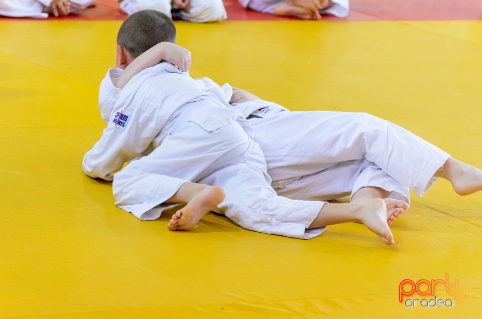 Micii judoka la Examen de Mon, Liceul cu Program Sportiv