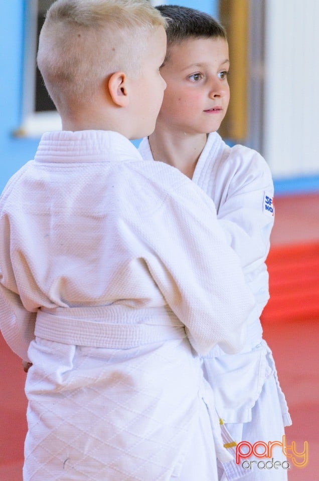 Micii judoka la Examen de Mon, Liceul cu Program Sportiv