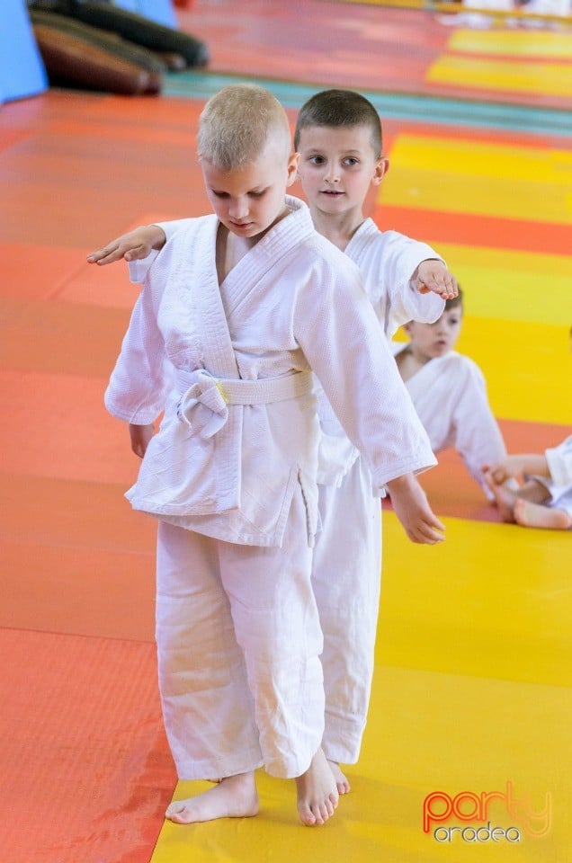 Micii judoka la Examen de Mon, Liceul cu Program Sportiv