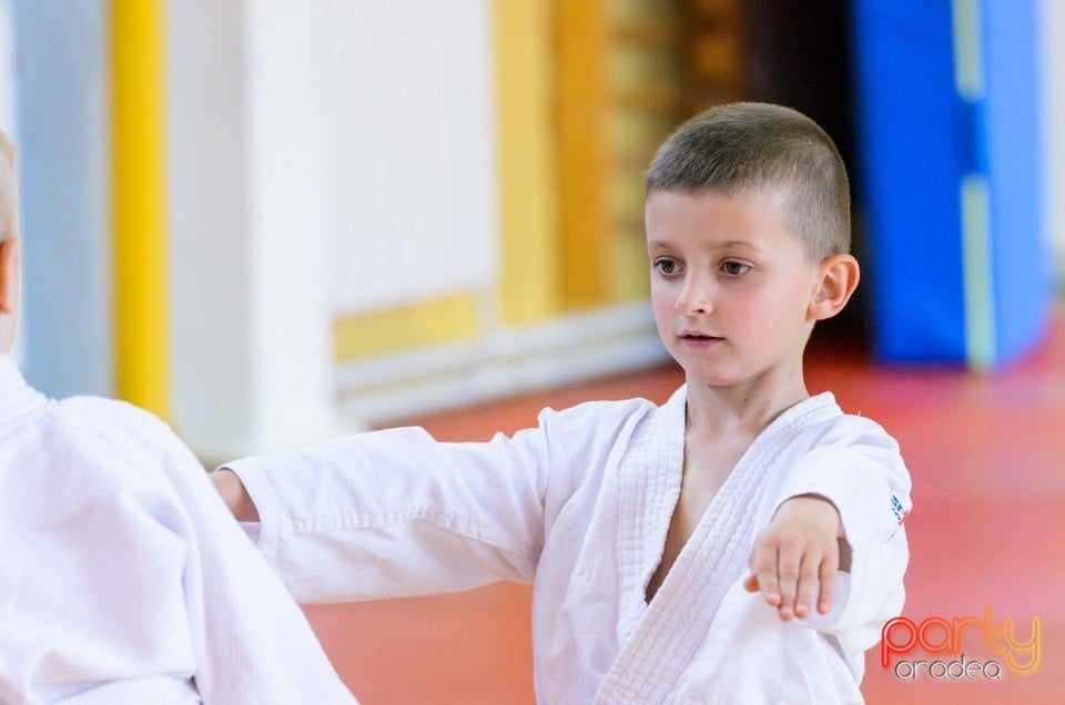 Micii judoka la Examen de Mon, Liceul cu Program Sportiv