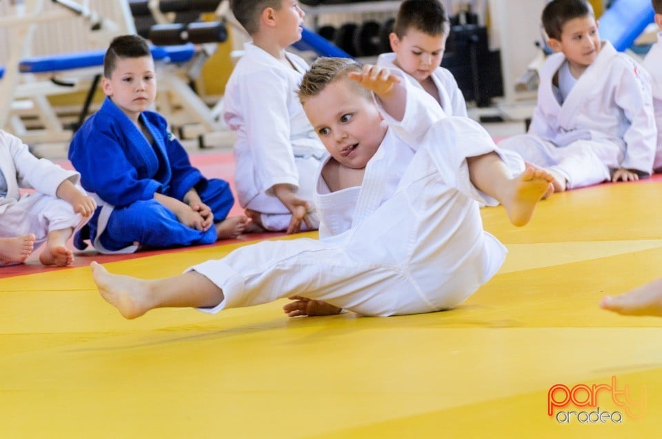 Micii judoka la Examen de Mon, Liceul cu Program Sportiv