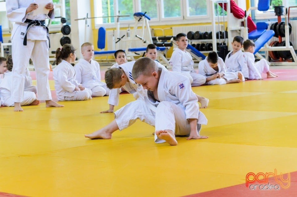 Micii judoka la Examen de Mon, Liceul cu Program Sportiv