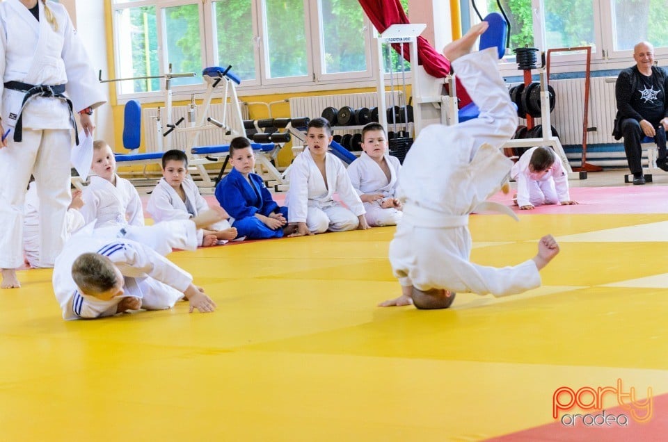 Micii judoka la Examen de Mon, Liceul cu Program Sportiv