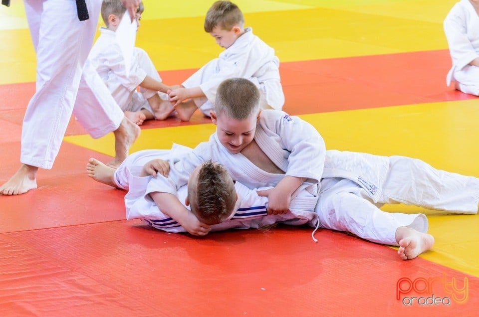 Micii judoka la Examen de Mon, Liceul cu Program Sportiv