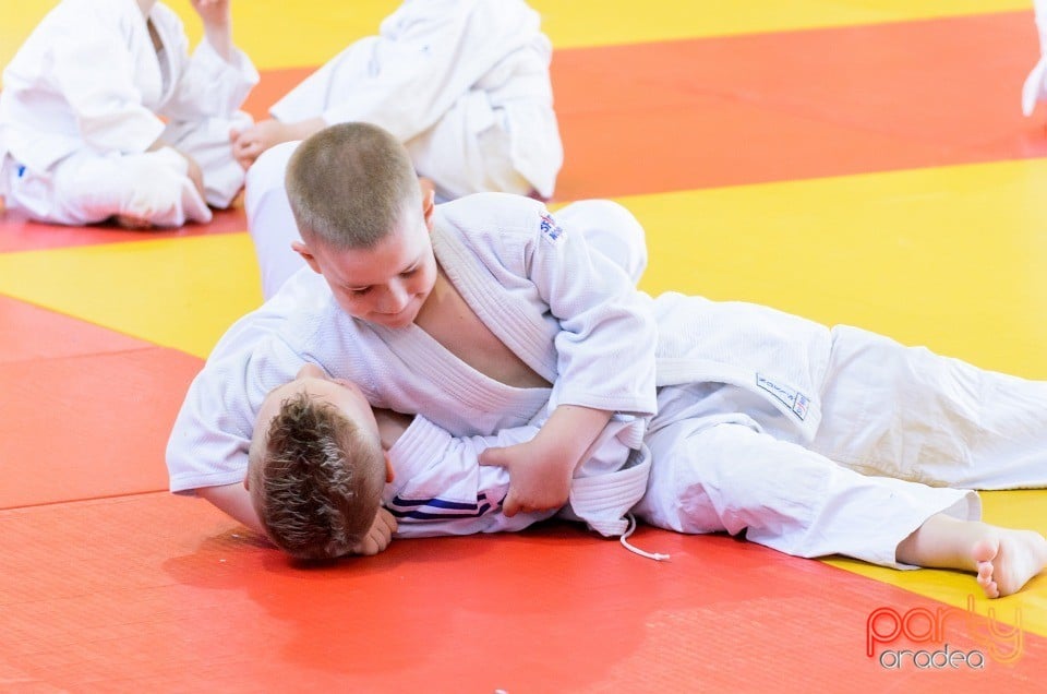 Micii judoka la Examen de Mon, Liceul cu Program Sportiv