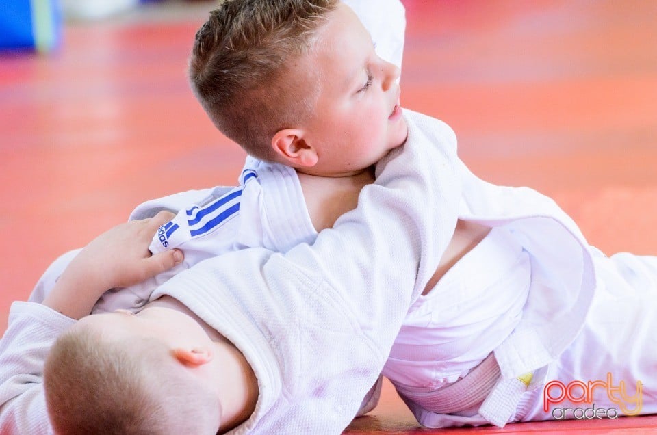 Micii judoka la Examen de Mon, Liceul cu Program Sportiv