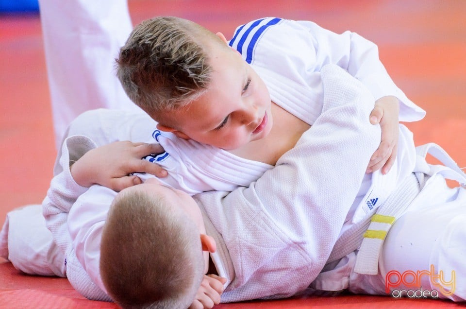 Micii judoka la Examen de Mon, Liceul cu Program Sportiv