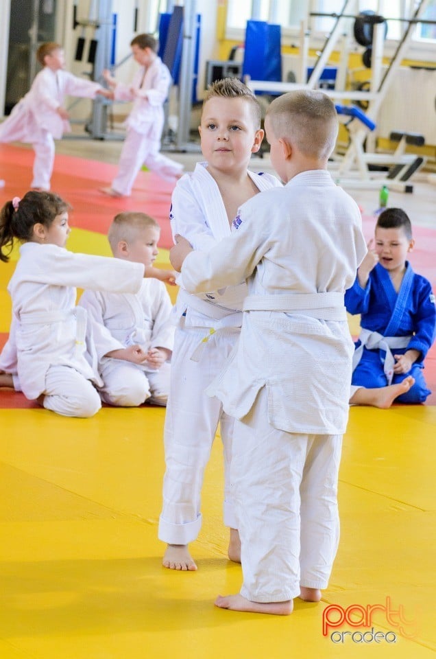 Micii judoka la Examen de Mon, Liceul cu Program Sportiv