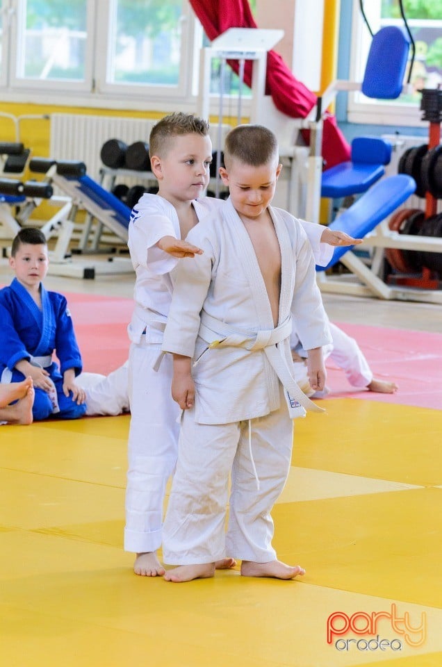 Micii judoka la Examen de Mon, Liceul cu Program Sportiv