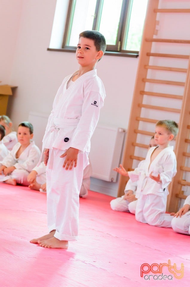 Micii judoka la Examen de Mon,