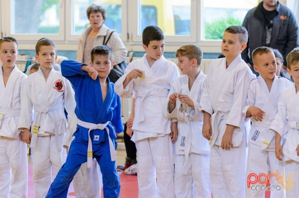 Micii judoka la Examen de Mon, Liceul cu Program Sportiv