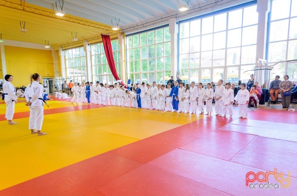 Micii judoka la Examen de Mon, Liceul cu Program Sportiv