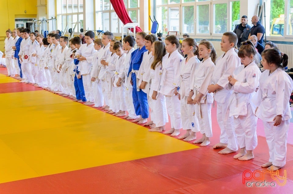 Micii judoka la Examen de Mon, Liceul cu Program Sportiv