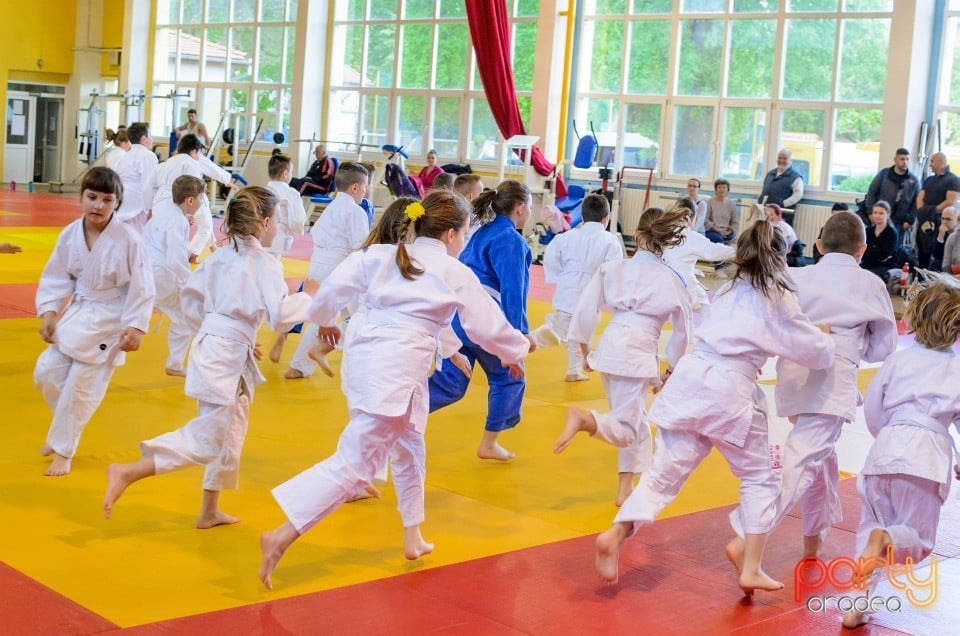 Micii judoka la Examen de Mon, Liceul cu Program Sportiv