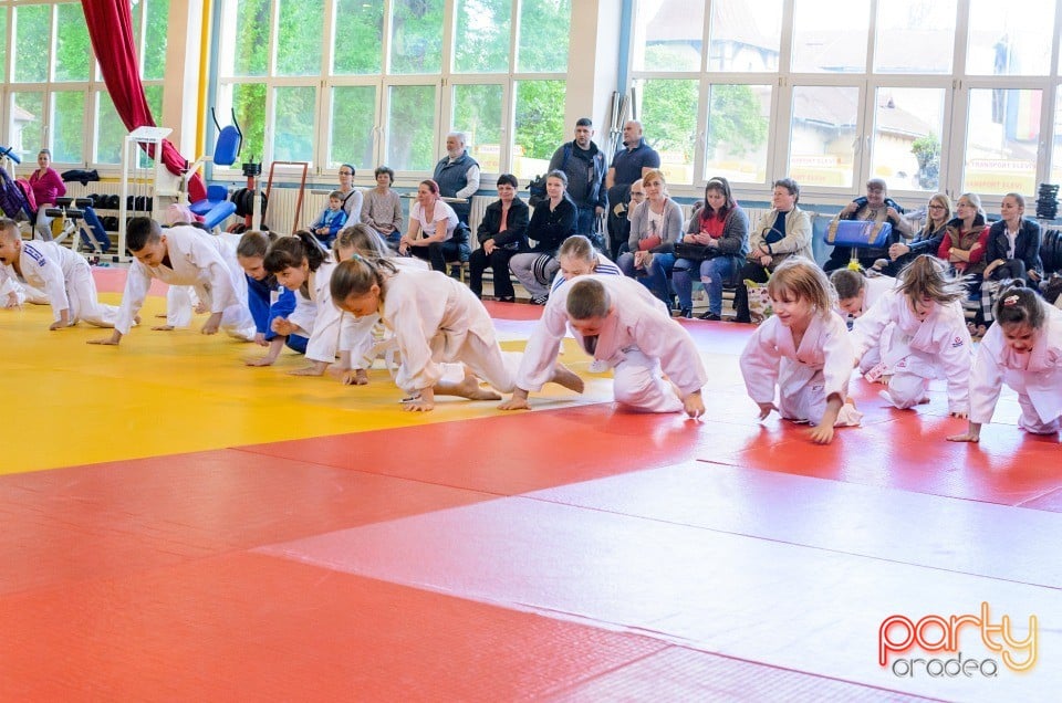 Micii judoka la Examen de Mon, Liceul cu Program Sportiv