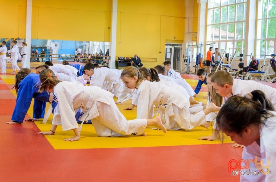 Micii judoka la Examen de Mon, Liceul cu Program Sportiv