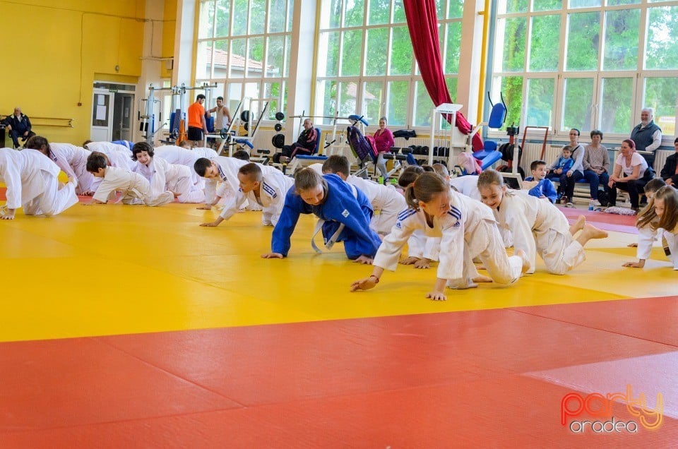 Micii judoka la Examen de Mon, Liceul cu Program Sportiv