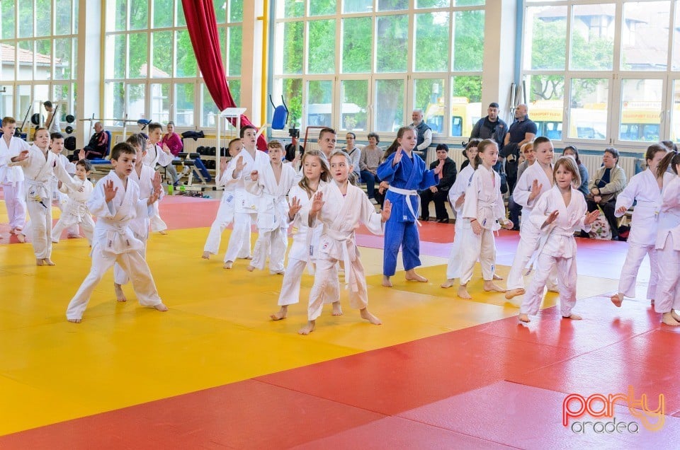 Micii judoka la Examen de Mon, Liceul cu Program Sportiv