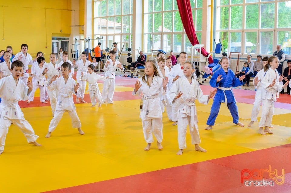 Micii judoka la Examen de Mon, Liceul cu Program Sportiv