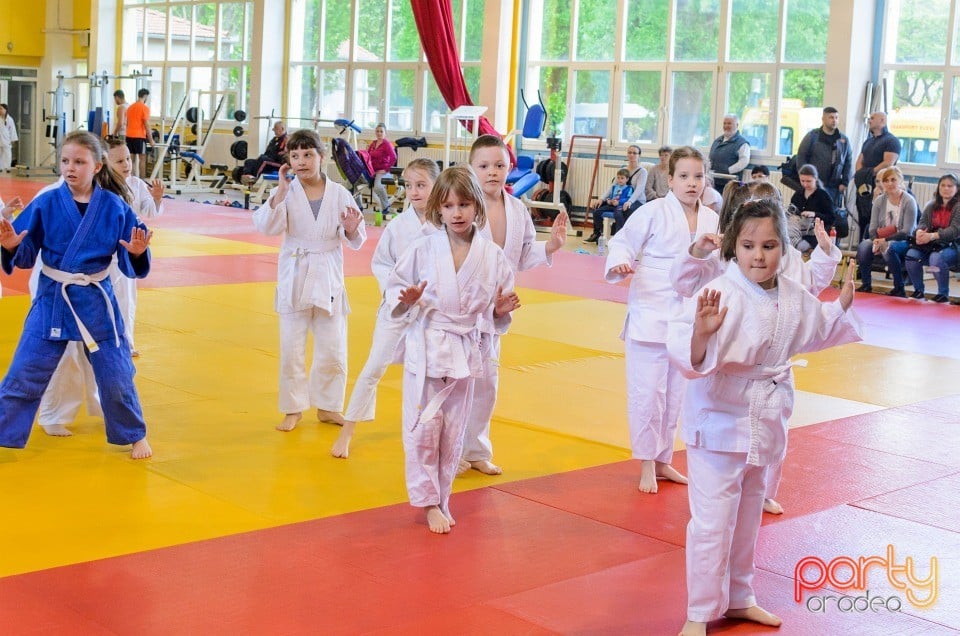 Micii judoka la Examen de Mon, Liceul cu Program Sportiv