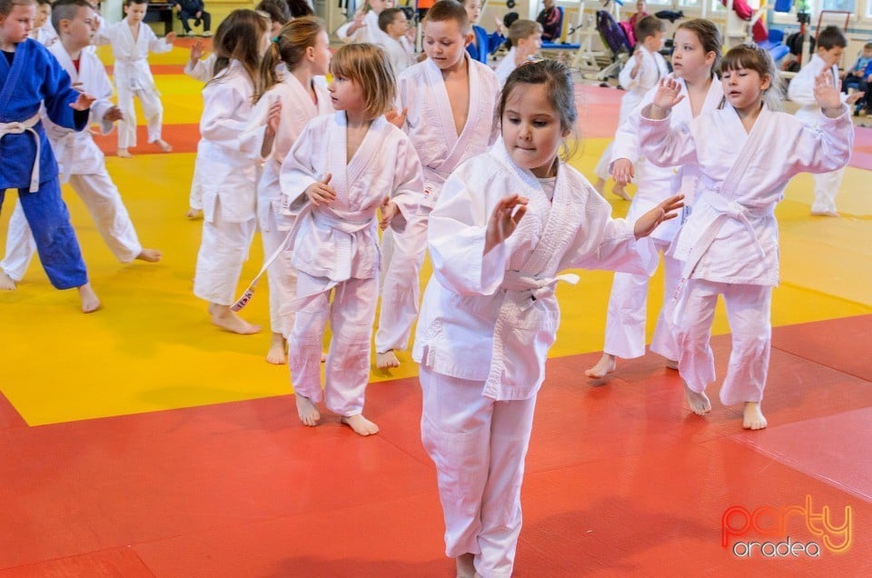 Micii judoka la Examen de Mon, Liceul cu Program Sportiv